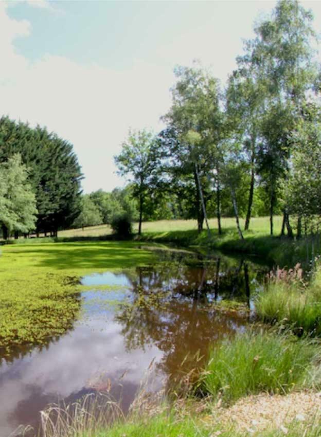 Domaine Des Grandes Landes